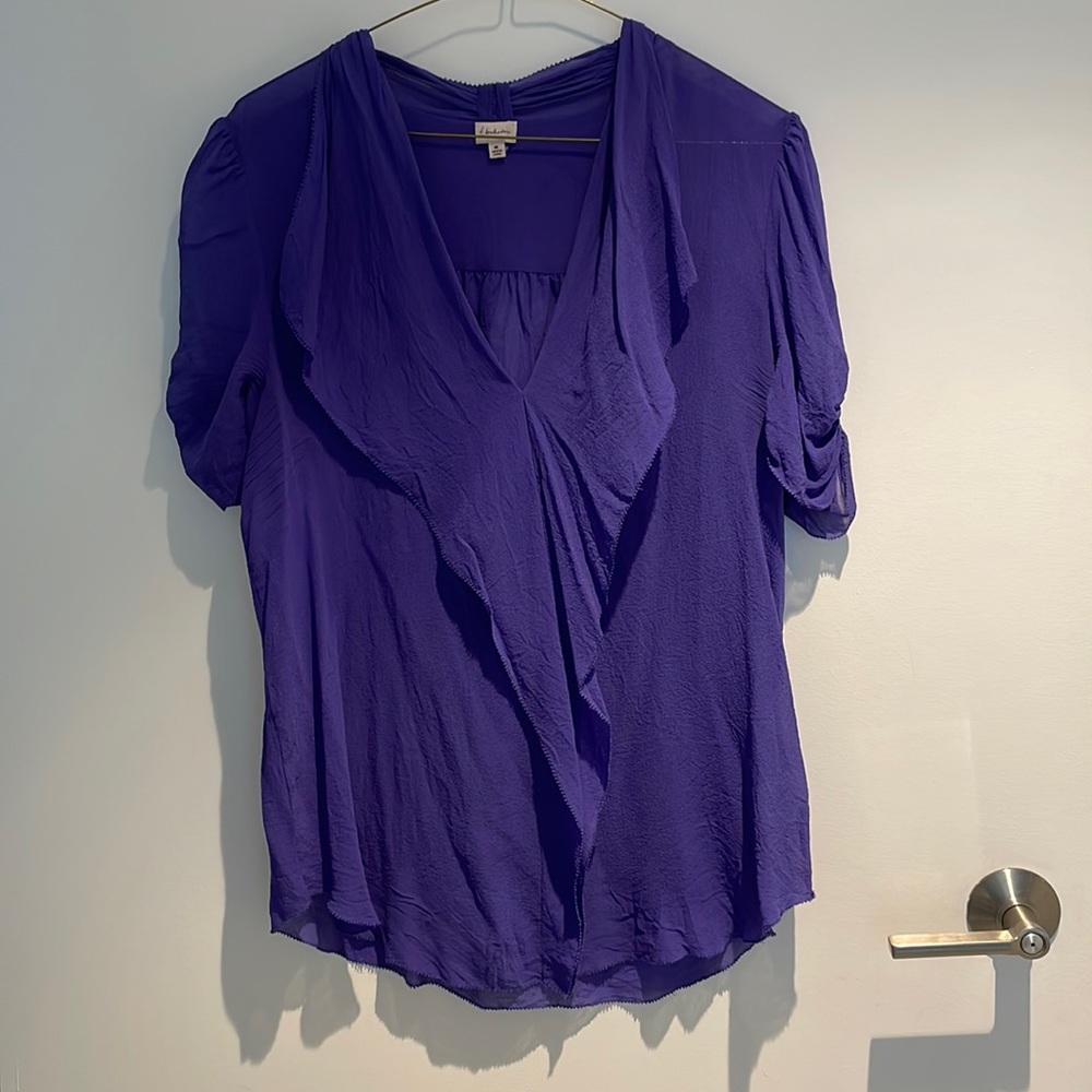 Aritzia V-Neck Ruffle Short Sleeve Silk Blouse